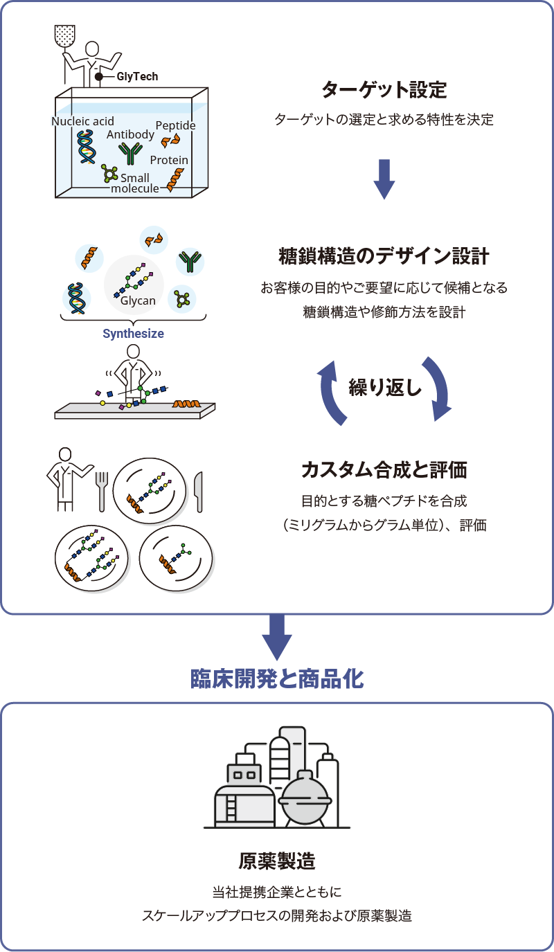 「ターゲット設定：ターゲットの選定と求める特性を決定→糖鎖構造のデザイン設計：お客様の目的やご要望に応じて候補となる糖鎖構造や修飾方法を設計←繰り返し→カスタム合成と評価：目的とする糖ペプチドを合成（ミリグラムからグラム単位）、評価」→臨床開発と商品化「原薬製造：当社提携企業とともにスケールアッププロセスの開発および原薬製造」 